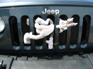 Photo of car with road kill