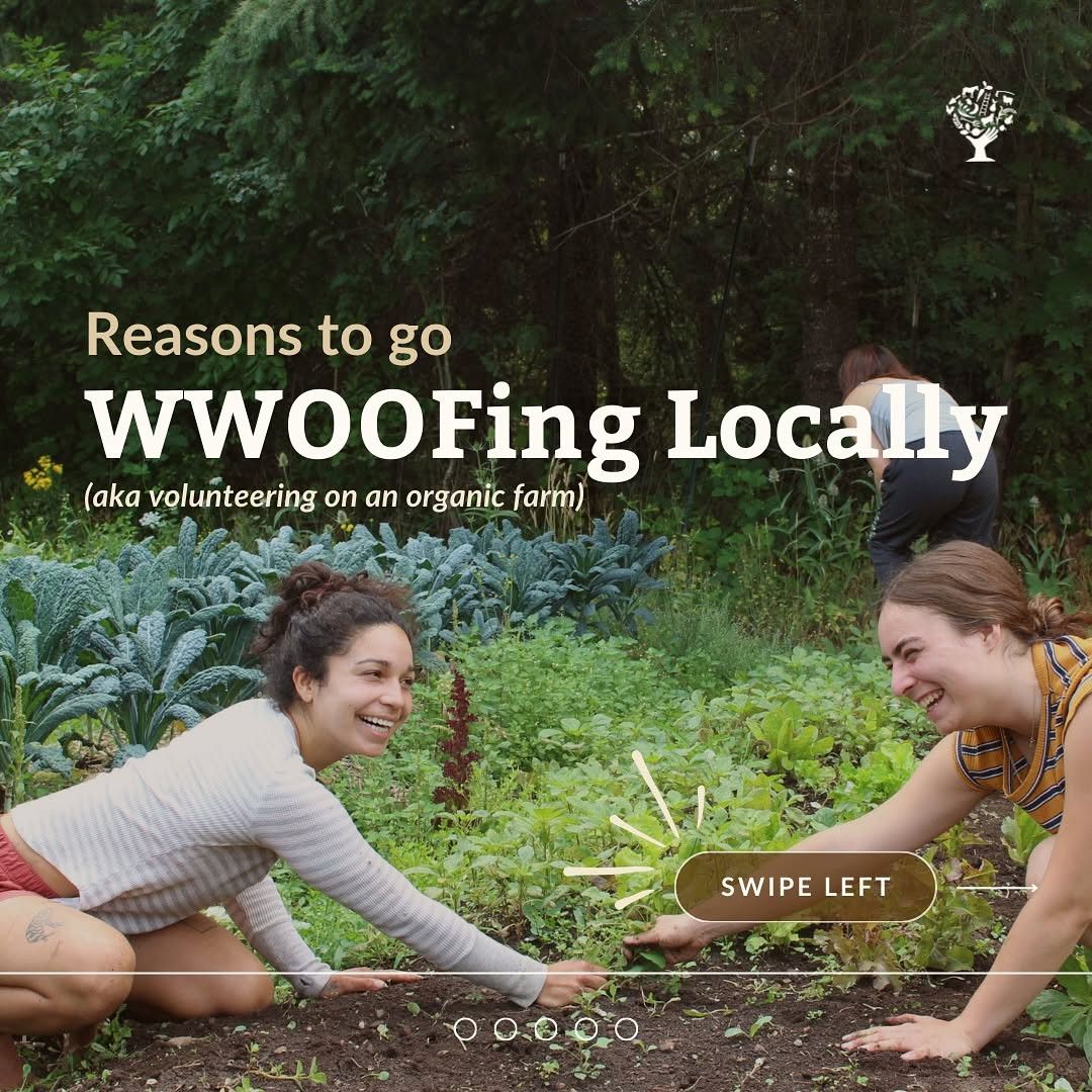 Farm stays in Ontario &&nbsp;Quebec